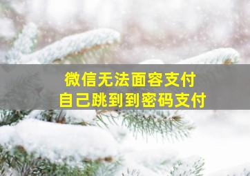 微信无法面容支付 自己跳到到密码支付